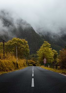La Plaine des Palmistes