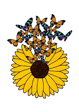 Sunflower Butterflies