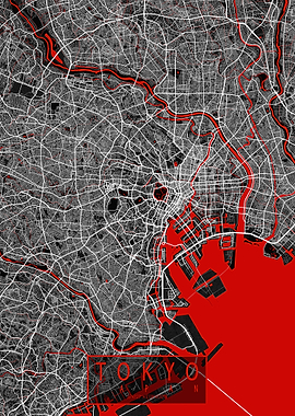 Tokyo City Map Oriental
