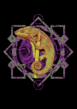 Chameleon Exotic Animal