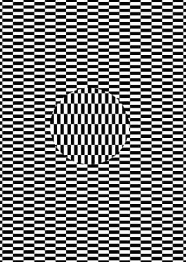 Optical Illusion