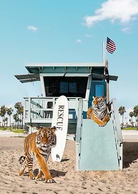 Tigers To The Rescue