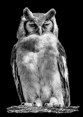 Perching Giant Eagle Owl