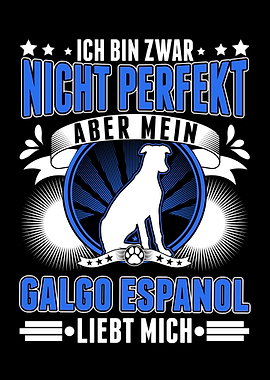 Galgo Espaol Spanischer