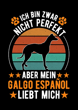 Galgo Espaol Spanischer