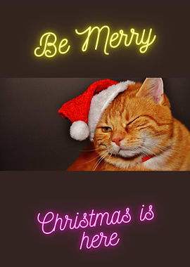 Merry Cat