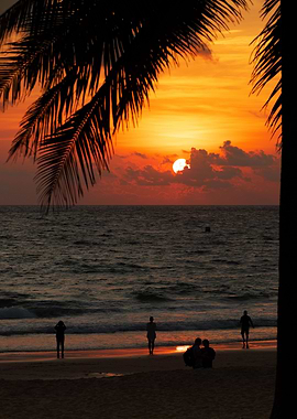 Sunset on the exotic beach
