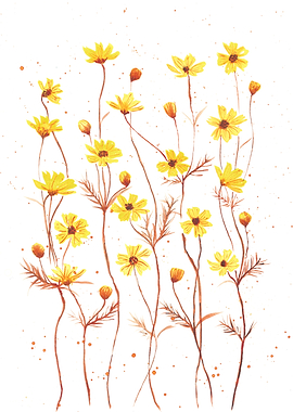 Yellow Daisies