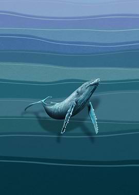 Blue Whale