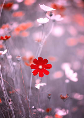 Summer floral arrangement