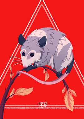 Opossum