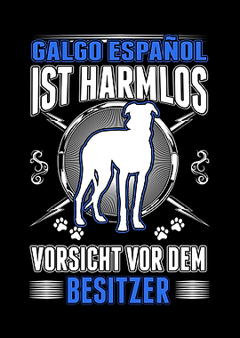 Galgo Espaol Besitzer