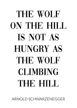 Arnold Schwarzenegger