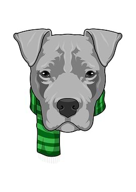 Dog Scarf