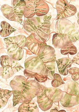 Pastel Monstera Deliciosa