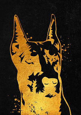 Doberman Portrait