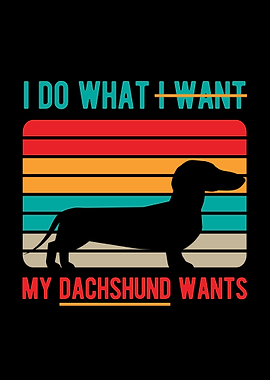 Funny Dachshund Dog
