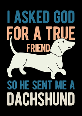 Funny Dachshund