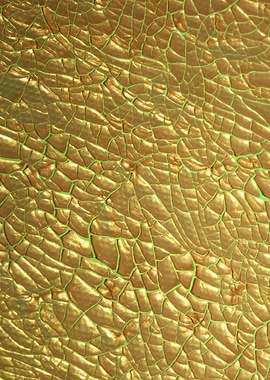 Golden canvas paint macro