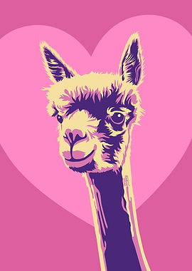 Alpaca luv