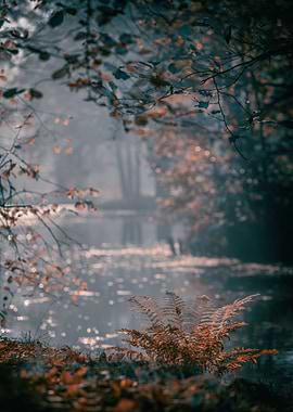 Autumn foggy lake in park