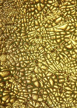 Cracked canvas paint macro