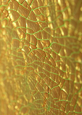 Golden canvas paint macro