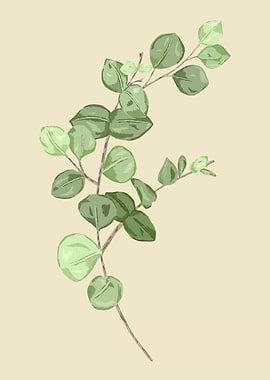 Eucalyptus Botanical Art