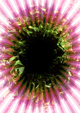 Illusions colorful design