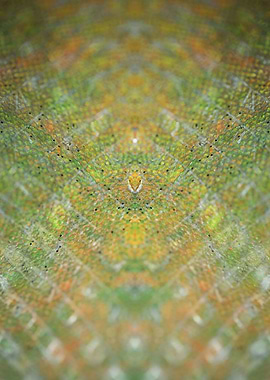 Painting colors on canvas