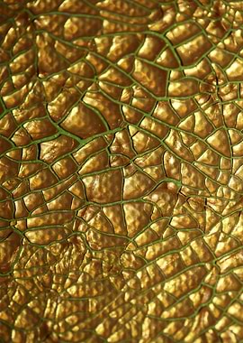 Cracked canvas paint macro