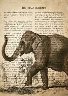 Vintage Elephant Print