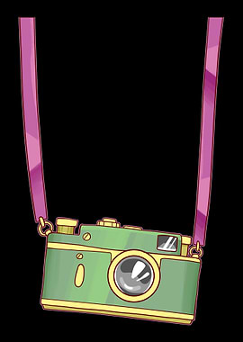 Fake Tourist Camera Holida