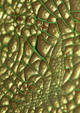 Golden canvas paint macro