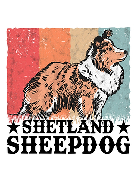 Sheltie Retro Sheepdog