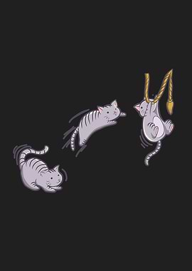 Funny Cat Jumping