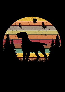 Deutsch Drahthaar Retro