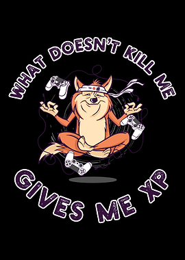 Gaming Video Games Gamer