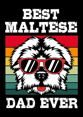 Maltese Dog Dad