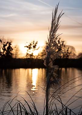 Sunset in front of a lake