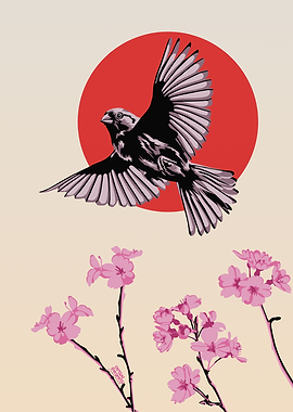 Bird cherry blossom Japan