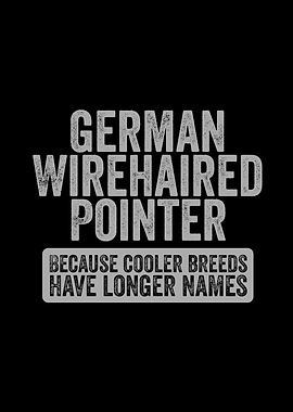 German Wirehaired Pointer