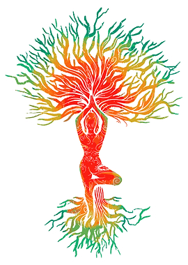 Yoga Woman Tree Nature