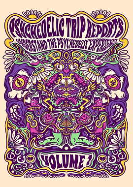 psychedelic trip experienc