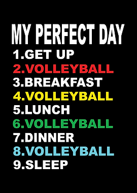 My Perfect Day Volleyball