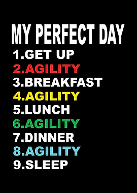 My Perfect Day Agility