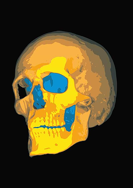 Gold skull illustration