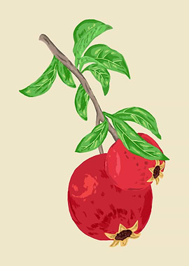 Pomagrenate Botanical Art