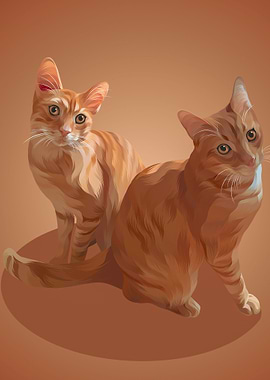 Twin Orange Cat