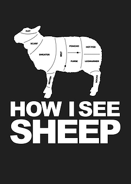 How I See Sheep Wool